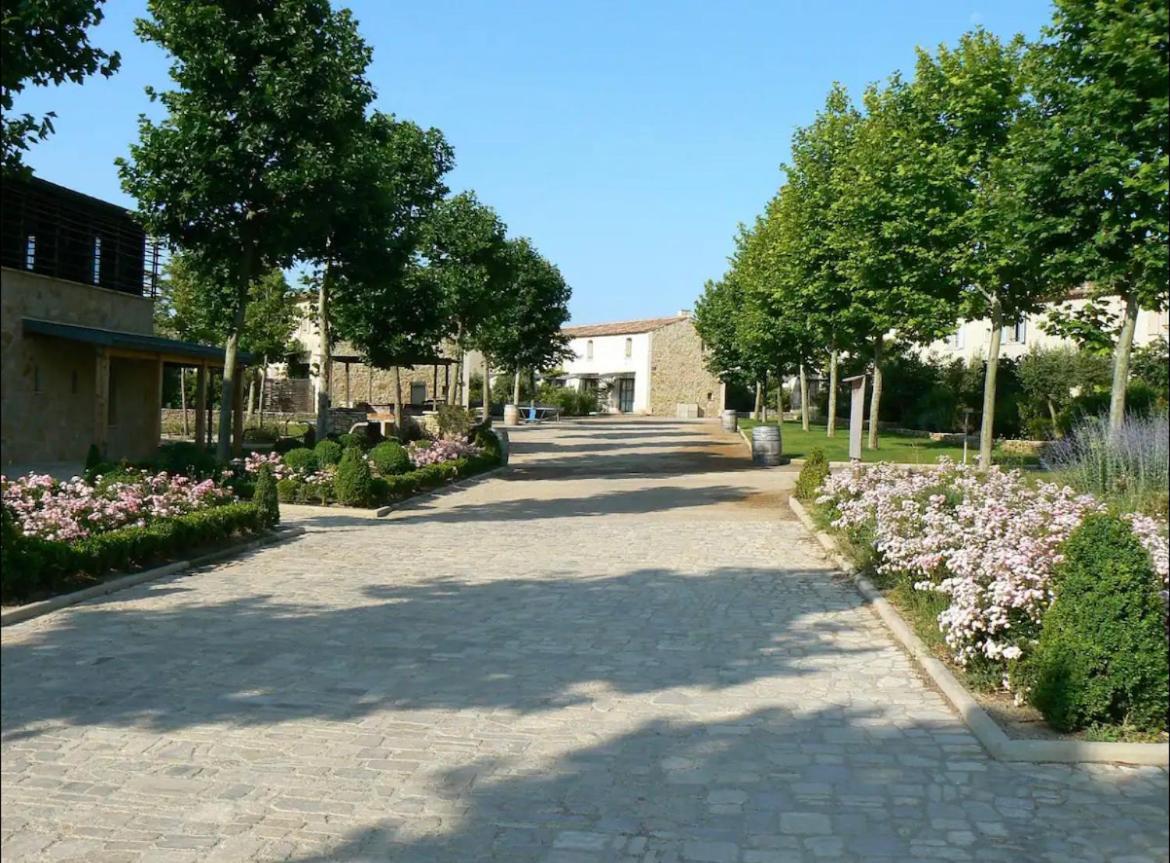 Pretty House Center Of Corbieres Apartment Saint-Laurent-de-la-Cabrerisse Luaran gambar